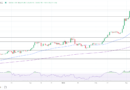 Bitcoin price analysis 17032024